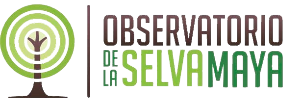 observatorio selva maya